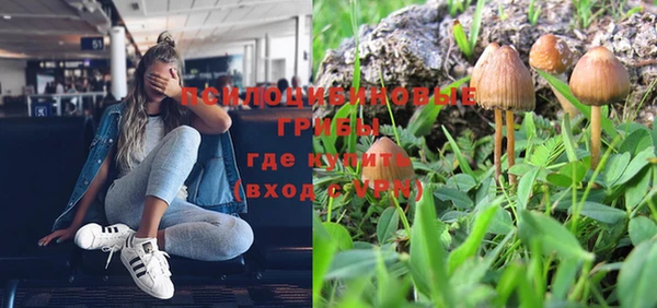 кокс Алексеевка