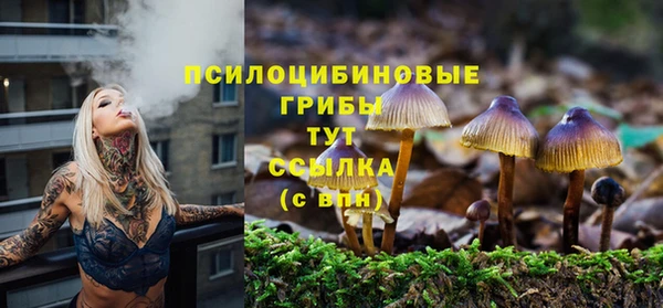 МДПВ Абинск